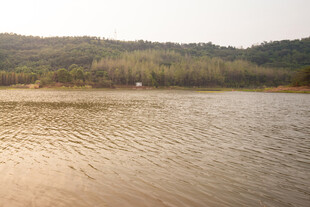 宁静湖泊与远处青山