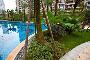 小区内的精致泳池景观