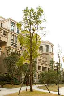 现代风格住宅小区景观