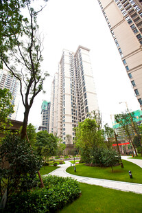 城市小区内的绿化景观