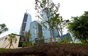 现代都市建筑与绿植景观