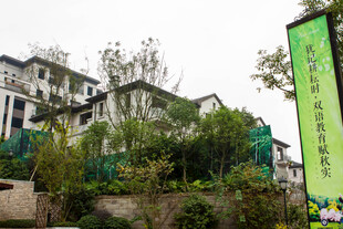 依山傍绿植的精致住宅