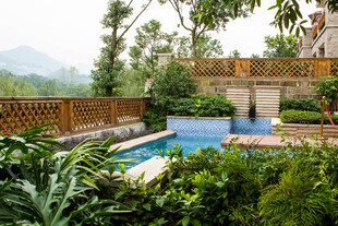 庭院中的静谧泳池景观