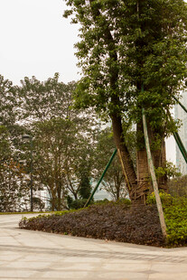 户外绿意盎然的道路景观