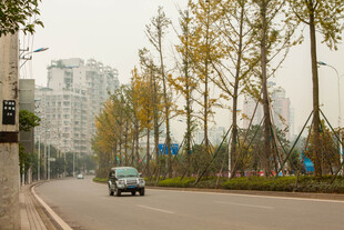 城市道路上行驶的车辆