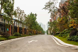 宁静小区林荫道路景象