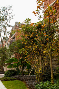 庭院绿植景观 秋意盎然