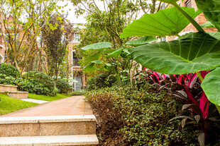 花园小径 绿植环绕美景