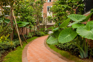 庭院绿植环绕的红砖小径