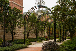 铁艺拱门花园景观小径