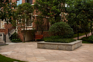 庭院绿植景观一角