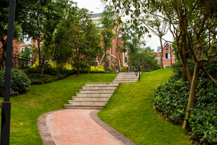 花园小径 绿意盎然的景致