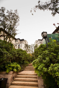 蜿蜒石阶旁的绿植与建筑