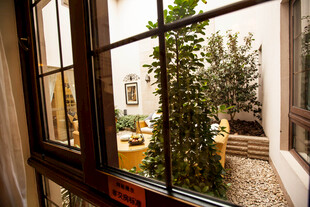 透过窗户看庭院绿植