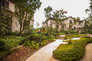 优雅静谧的庭院景观