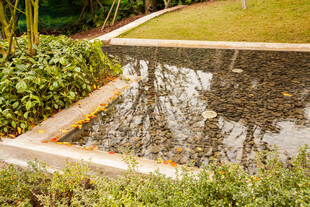 庭院中的精致水景