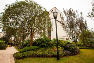 花园中的白色建筑与绿植