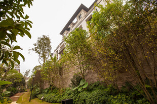 中式庭院绿植环绕景致