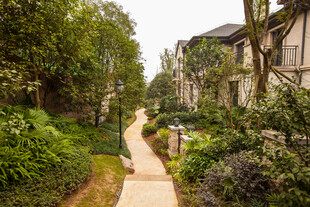 幽静林间步道 绿植环绕