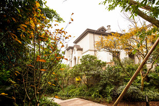 幽径旁的中式庭院建筑