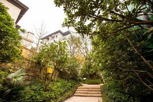 庭院绿植环绕的小径