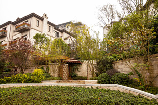 优雅别墅庭院景观