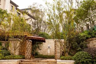 中式庭院景观别致一角