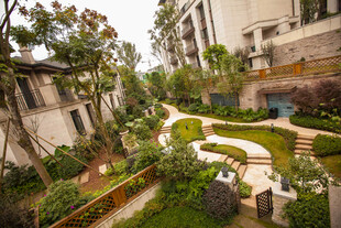 精致庭院景观设计