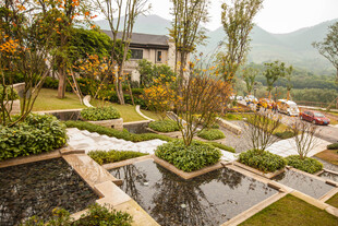 精致庭院景观设计