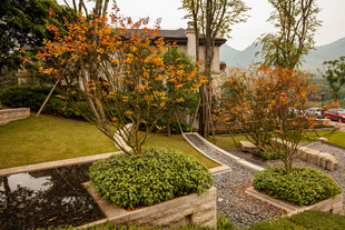 精致庭院景观设计