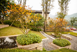 精致庭院景观设计