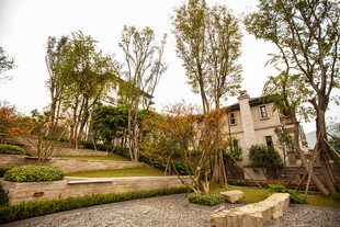 欧式庭院景观 静谧优雅