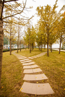 秋日林间石板小径美景