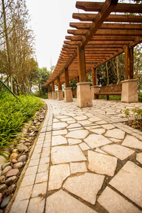 石径木廊下的静谧园林