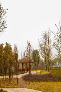 秋日公园静谧景致