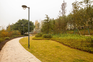 公园中的幽静小路与绿植