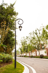 街道旁的精致复古路灯