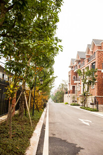 小区内绿树成荫的道路