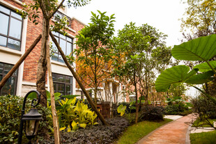 小区优美绿化景观小道