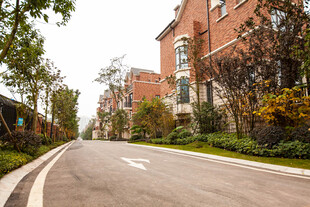 宁静的住宅区街道景观