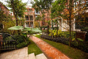 庭院绿植景观 路径蜿蜒