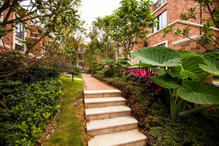 小区内的绿植小径景观