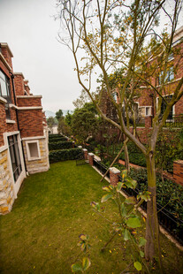 庭院绿植景观 静谧舒适