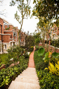 小区内的幽静绿植小径