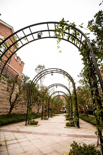 花园拱形绿植景观步道