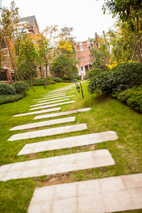 花园中的石板小径