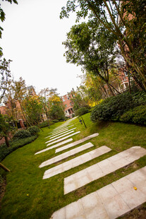 林间石径 绿意盎然的景致