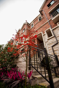 红砖建筑旁的花卉与铁艺楼梯