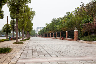宽阔林荫步道景观