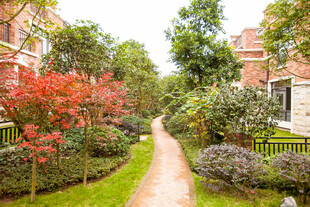 小区内的幽静绿植小径